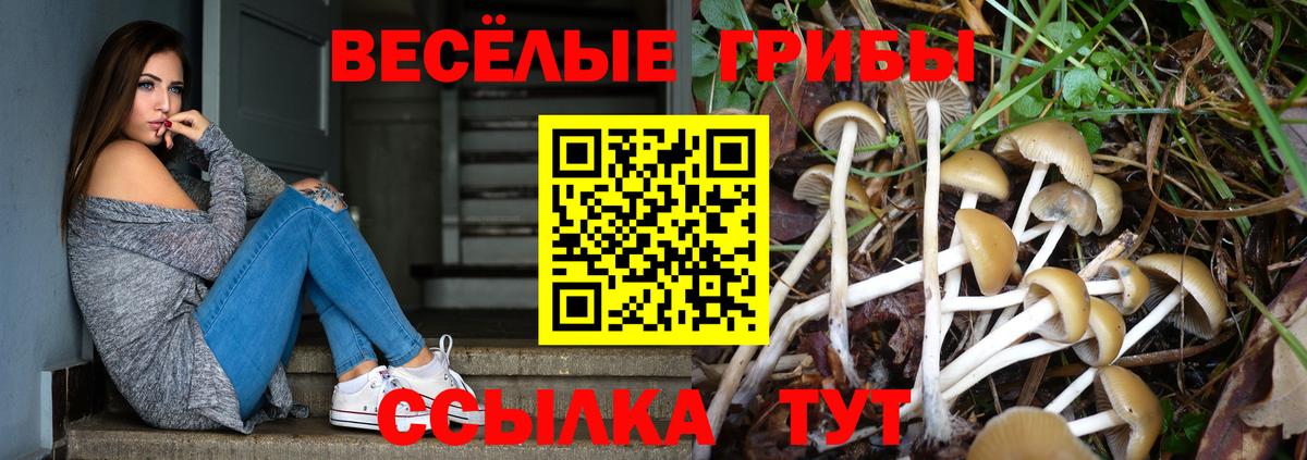 Псилоцибиновые грибы Psilocybine cubensis Кострома
