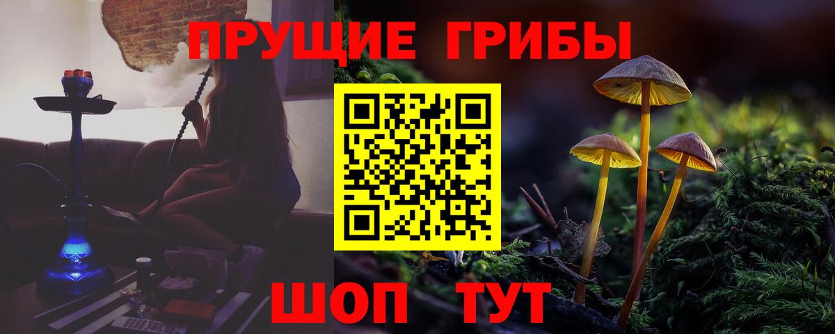 Псилоцибиновые грибы Psilocybe  магазин    Кострома  Вход с VPN  Псилоцибиновые грибы ЛСД 